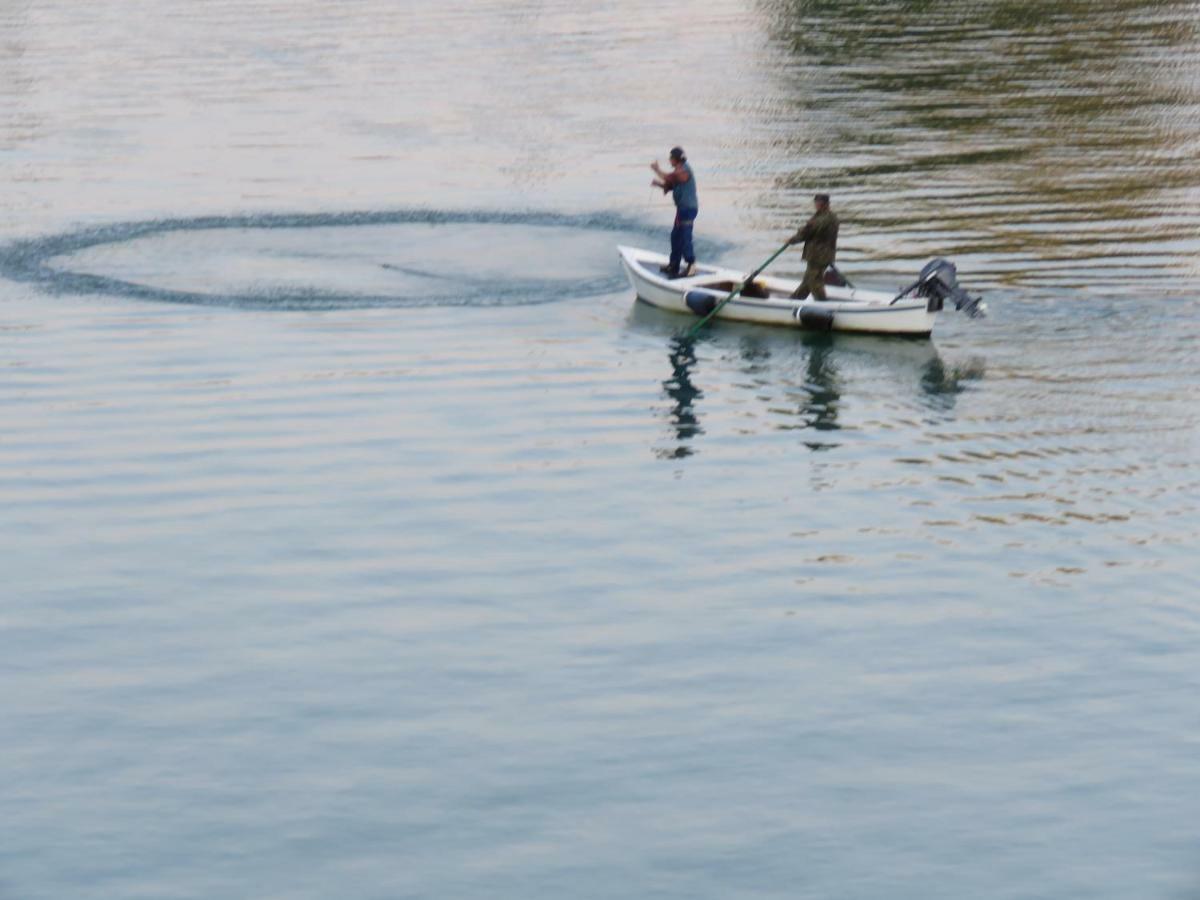 Alla Foce Del Magra - Appartamenti Sul Fiume Con Posto Barca Vicino Cinque Terre Ameglia Eksteriør bilde